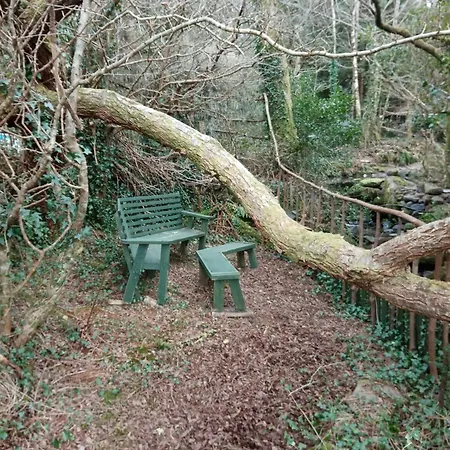 Lantställe The Little *