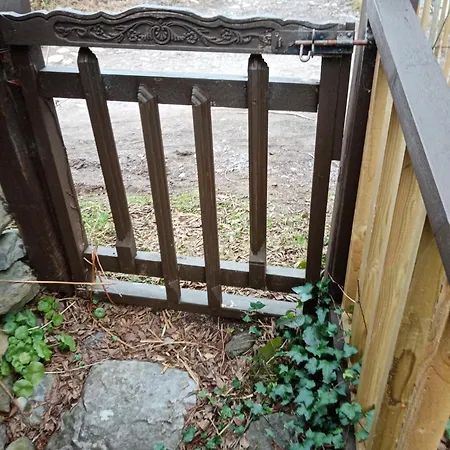 Летний дом The Little *